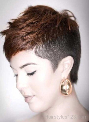 Punk Brown Haircut