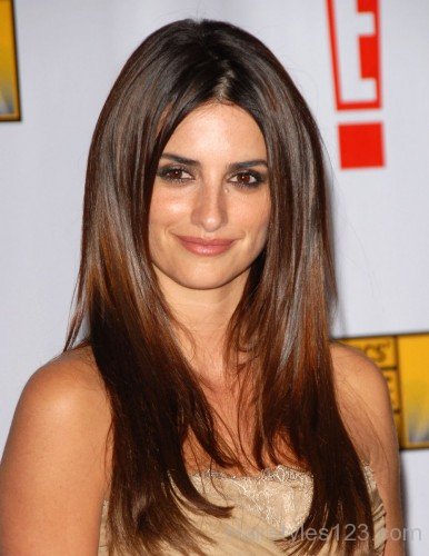 Penélope Cruz Straight Brown Hairstyle