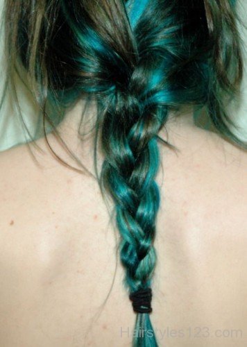 Braid Hairstyle