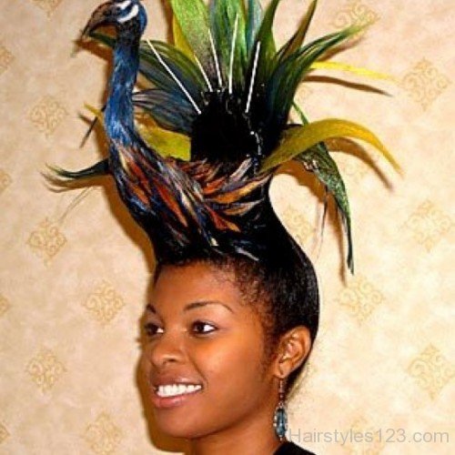 Peacock Wild Hairstyle