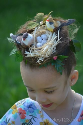 Bird nest in hair