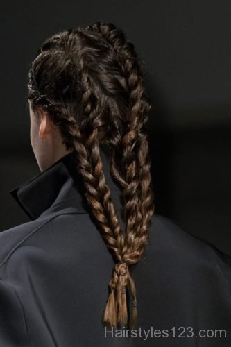 Black braided hairstyle