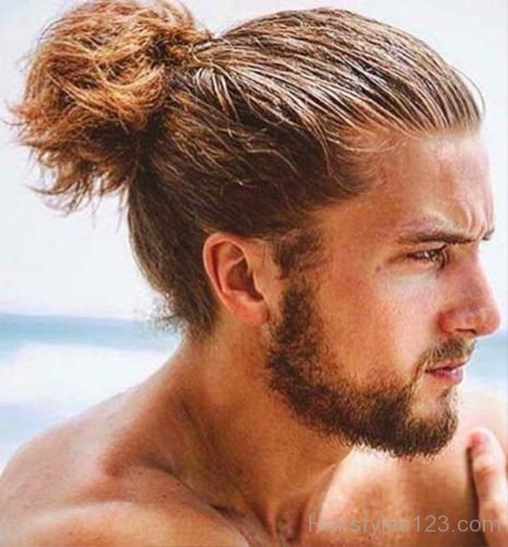 Brown Ponytail For Men