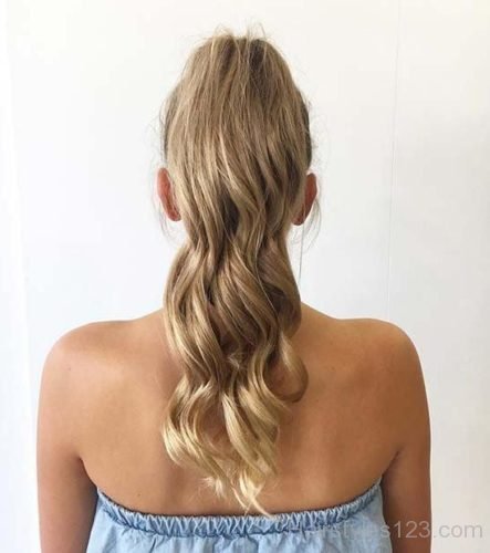 Chic Ponytail