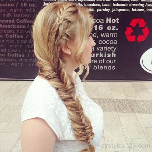 Cute Braided Hairstyle