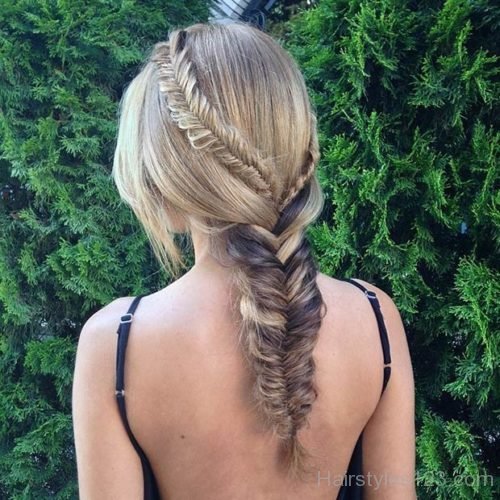 Fishtail Braids