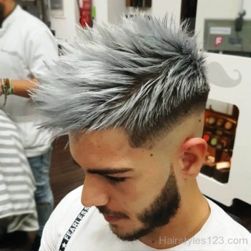 Grey Dyed Hairstyle