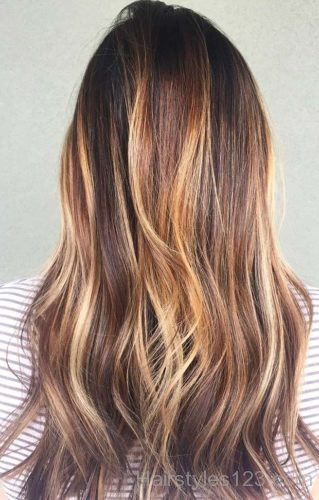 Honey Blonde Highlights