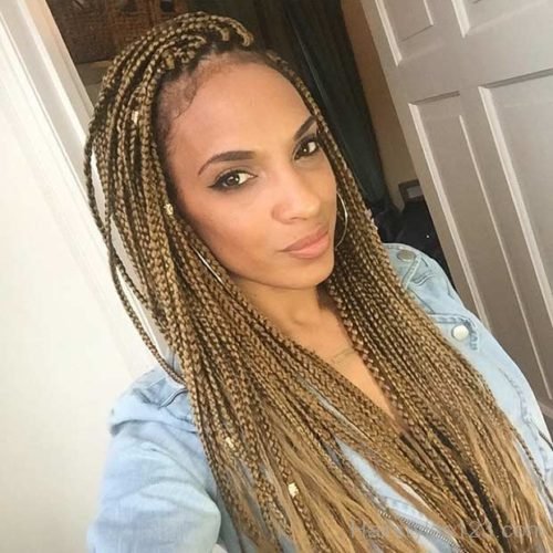 Long Caramel Braids