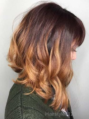 Ombre Color Hair