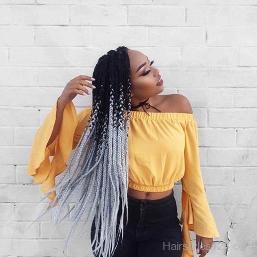 Ombre Colored Braids