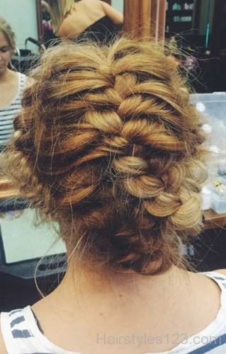 Pin up Braided Hairstyle