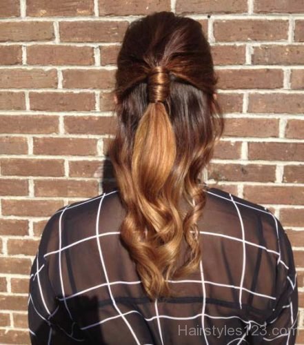 Ponytail Half Updo