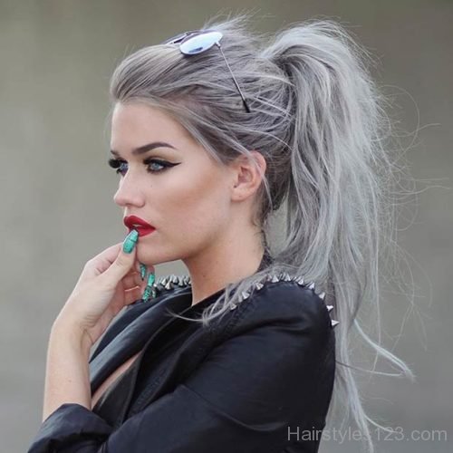 Silver Grey Ponytail