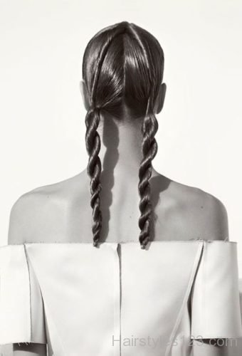 Stylish two braids