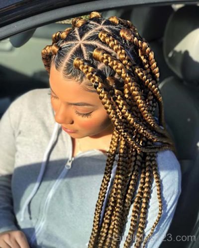 Triangle Box Braids